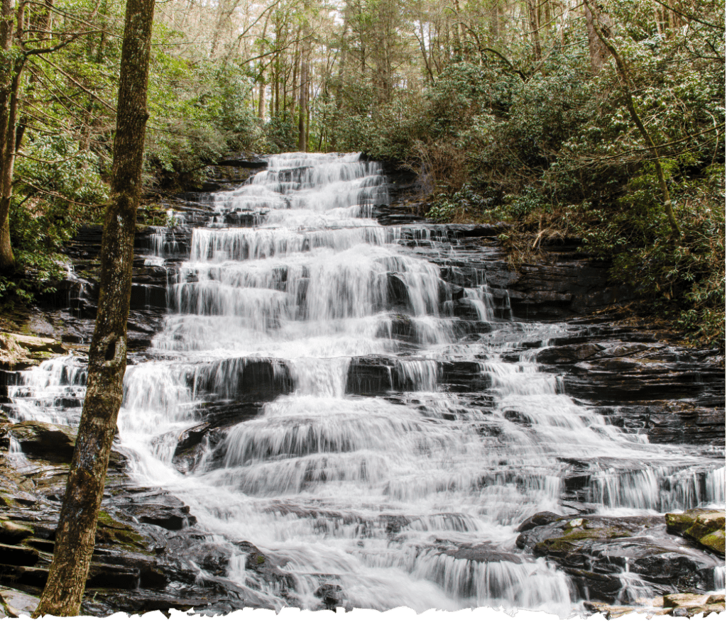 Waterfall Profile Image - Compressed