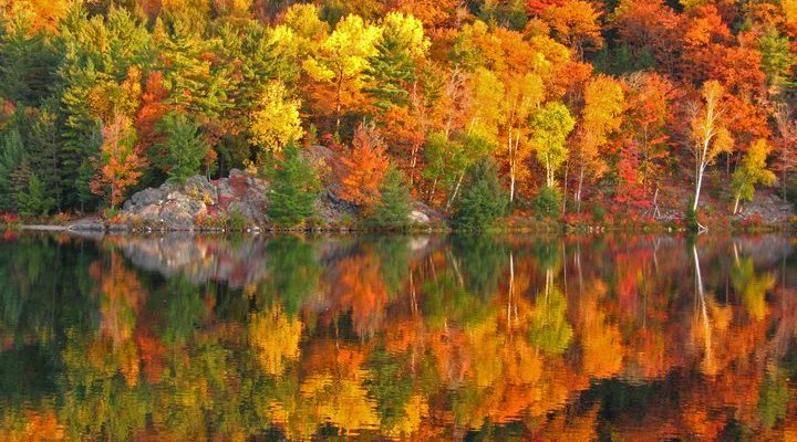 fall in Rabun County
